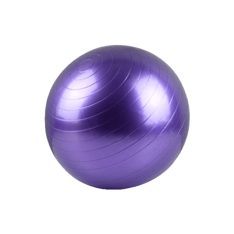 Source Exercise Ball Purple – 55 cm – Lilla